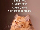 Как провели праздники?