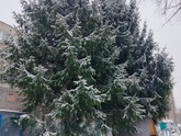 У нас такая весна❄️🌸