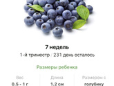 7 недель .