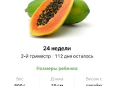 24 недели .