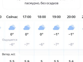 Гуляете ли вы с
