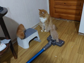 Я не хочу превращаться