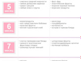 Гв и что на нем можно