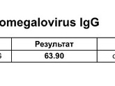 Торч инфекции