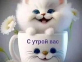 Вот проснулась в 6