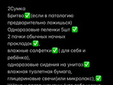 Сумка в род.дом