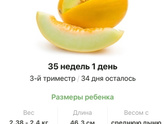 35 недель .