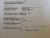 Скрининг пройдет 💫 Почему