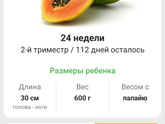 15 недель. 🍏🍏🍏