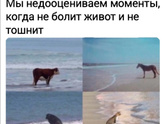 Новости мои В общем
