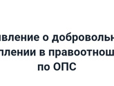 ИП на НПД и декретные?