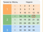 17 недель