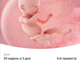 Наши новости