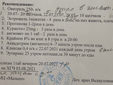 Перенос 1 эмбриона 5АВ