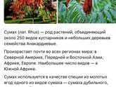 Сумах