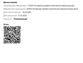 Шла вторая неделя как