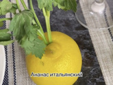 Ваше фирменное блюдо для всей семьи?