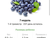 7 недель .