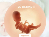 Ну кайф же ,с