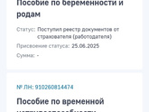 Выплата декретных по беремености и родам