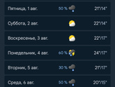 Дама сдавала в багаж