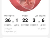35 НЕДЕЛЬ
