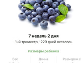 7 недель .
