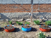 Сезон открыт ).