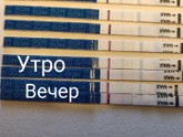 Хоть утром и показалось,