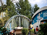 Лето ,жара и фонтаны
