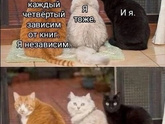 Фотография 2025-02-25 10:23:35