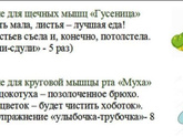 Тематическая неделька Насекомые. День 1. Знакомство с насекомыми.🦋🐞🐝🐛