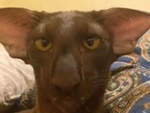 ?