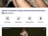 Наркоз животным!