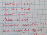 Сумка в до родовое отделение