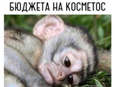 😎