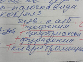 Клацид