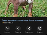 МОЖНО ЛИ КОТУ...