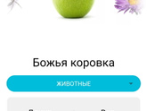 6 недель