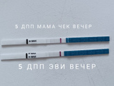 6дпп и кровь 🆘