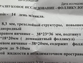 Овуляция