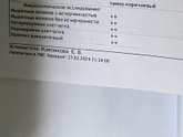 Наши поиски диагноза продолжаются…
