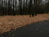 Доброе осеннее утро 🍁