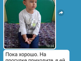 Садик и его приблуды