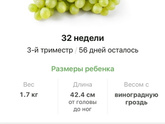 Какой у Вас срок?