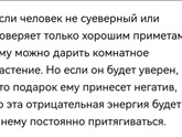 Цветок в горшке в подарок
