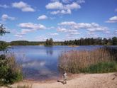 5 недель
