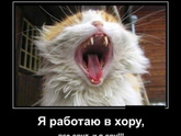 Я работаю в хору - все орут и я ору))))