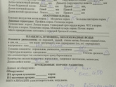 22 недели