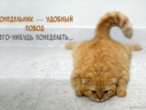 Любите понедельник?